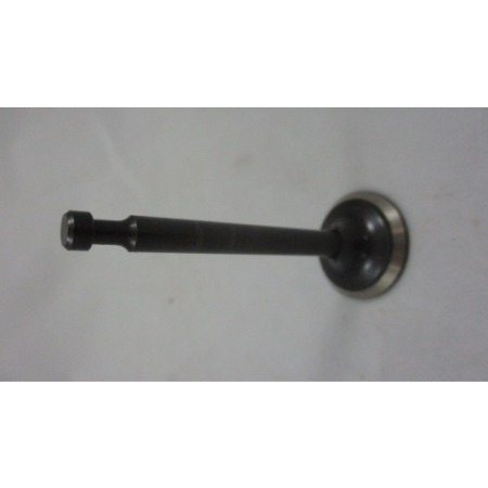 Picture of 14412-A0710-0001 Exhaust Valve