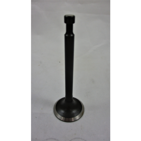 Picture of 14411-A0810-0001 Intake Valve