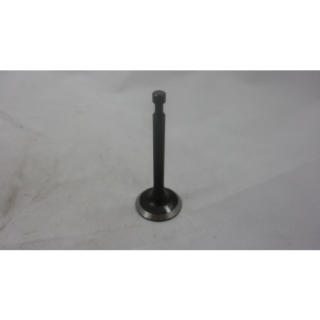 Picture of 14411-A0710-0001 Intake Valve