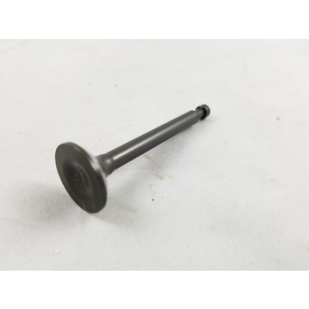 Picture of 14412-A0610-0001 Exhaust Valve