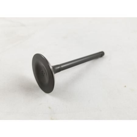 Picture of 14411-A1010-0003 Intake Valve