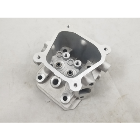 Picture of 12100-B4210-0001 Cylinder Head Assembly