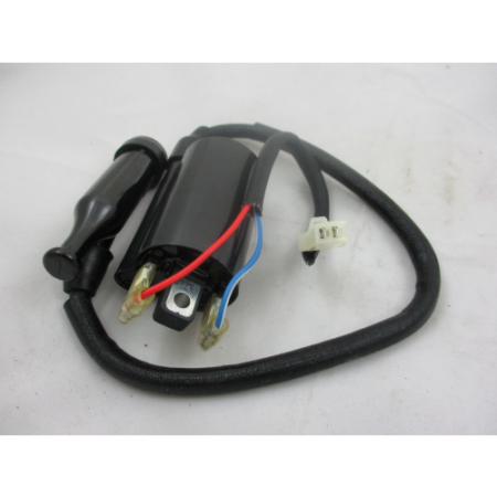 Picture of 811901 Ignition Coil