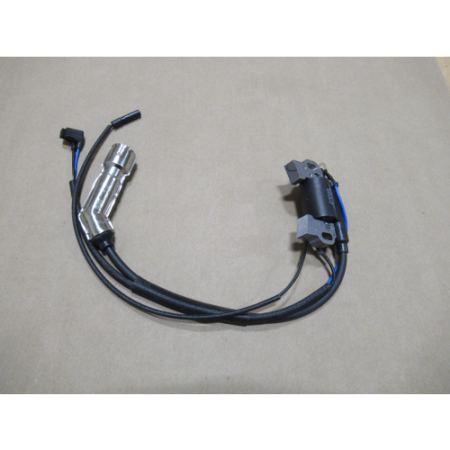 Picture of 270920254-0001 Ignition Coil