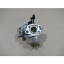 Picture of 170021260-0001L Carburetor