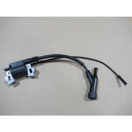 Picture of Ignition Coil 1-Wire