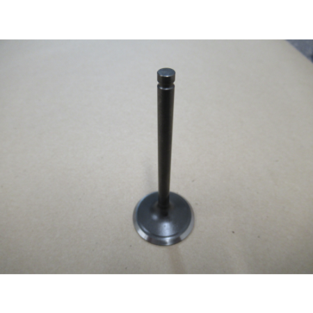 Picture of 12111-Z1X0111-0000 Intake Valve