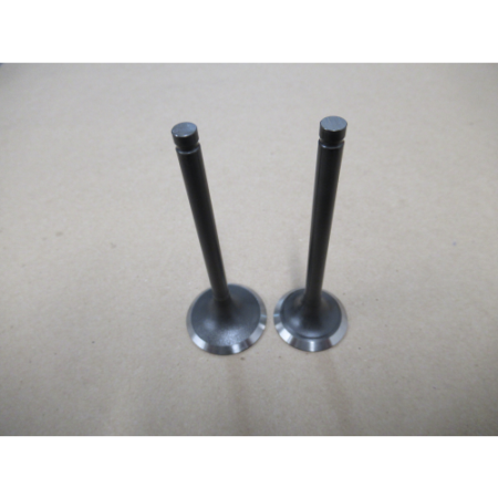 Picture of 12110-ZDY0110-0000 VALVE SET