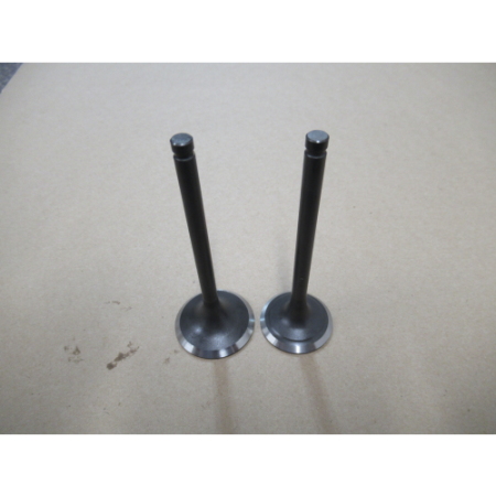 Picture of 12110-Z8K0111-00A0 VALVE SET