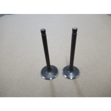 Picture of 12110-Z810210-0000 VALVE SET