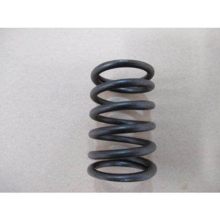 Picture of 12103-Z080110-00A0 Valve Spring